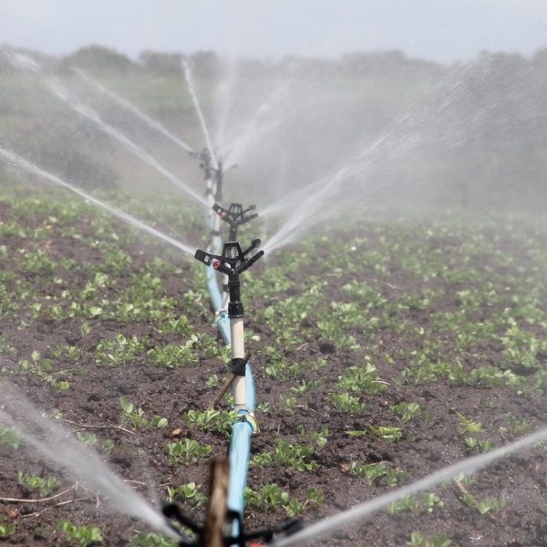 irrigation-588941_1280